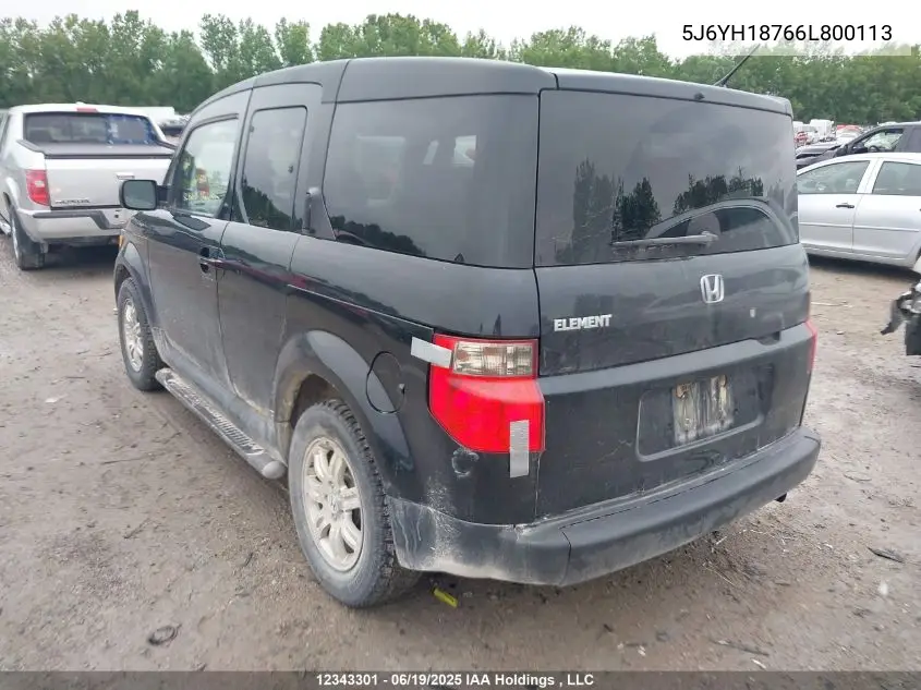 2006 Honda Element Ex VIN: 5J6YH18766L800113 Lot: 12343301