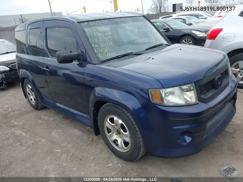 2009 Honda Element Sc VIN: 5J6YH18919L800137 Lot: 12303008