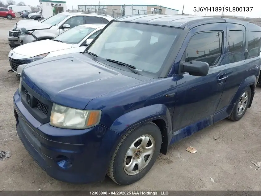 2009 Honda Element Sc VIN: 5J6YH18919L800137 Lot: 12303008
