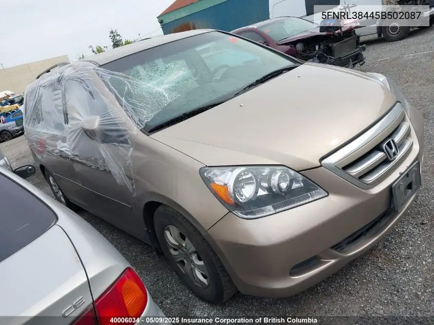2005 Honda Odyssey Ex VIN: 5FNRL38445B502087 Lot: 40006034