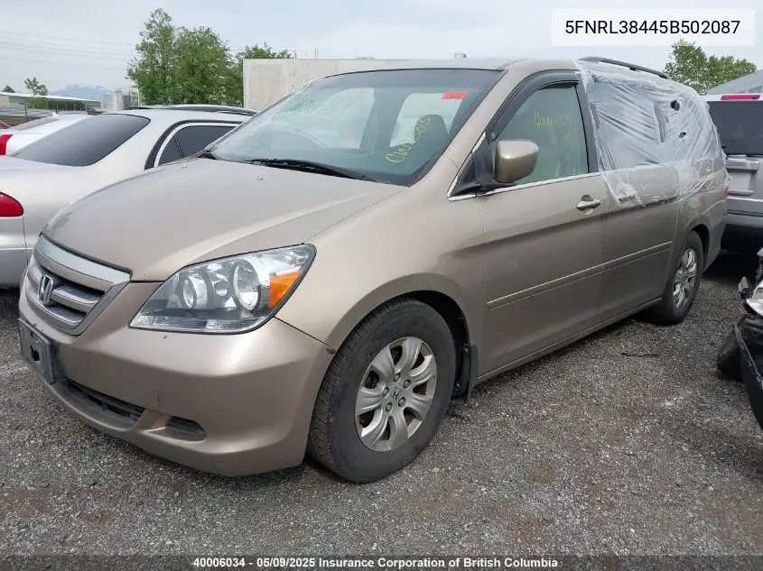 2005 Honda Odyssey Ex VIN: 5FNRL38445B502087 Lot: 40006034