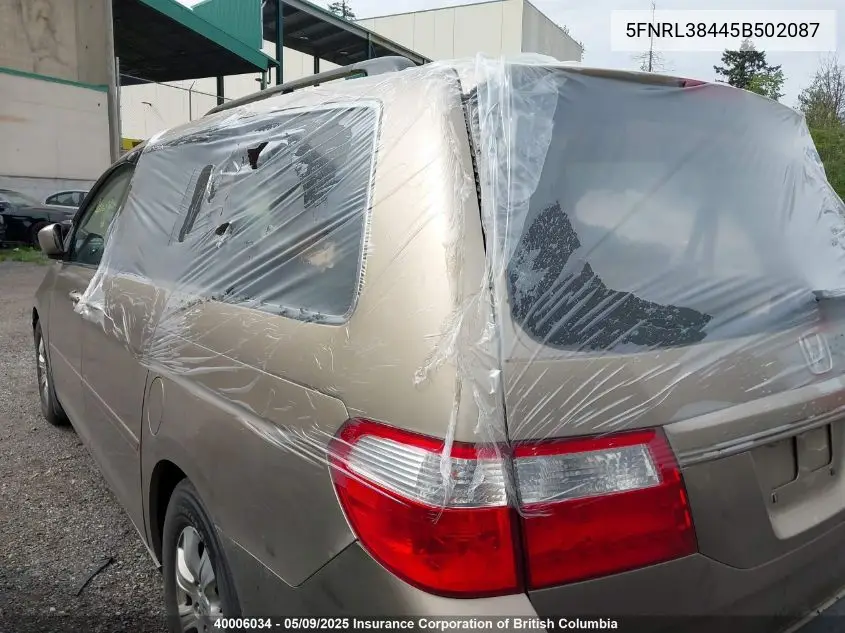 2005 Honda Odyssey Ex VIN: 5FNRL38445B502087 Lot: 40006034