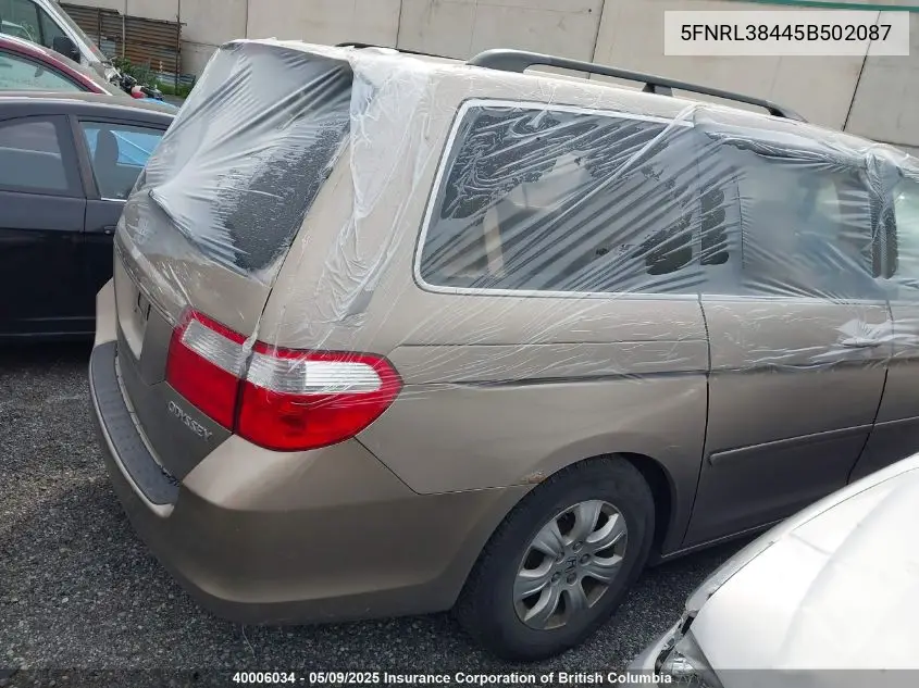 2005 Honda Odyssey Ex VIN: 5FNRL38445B502087 Lot: 40006034