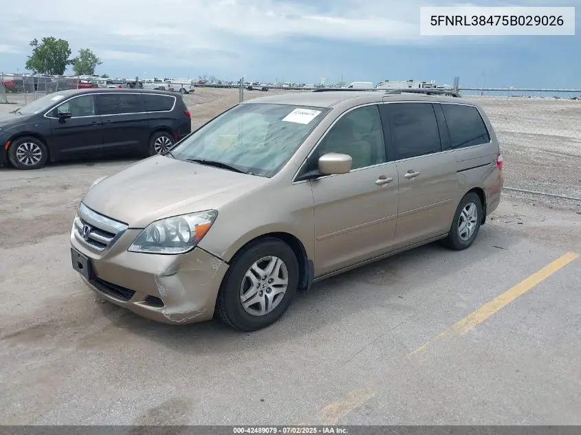 2005 Honda Odyssey Ex VIN: 5FNRL38475B029026 Lot: 42489079