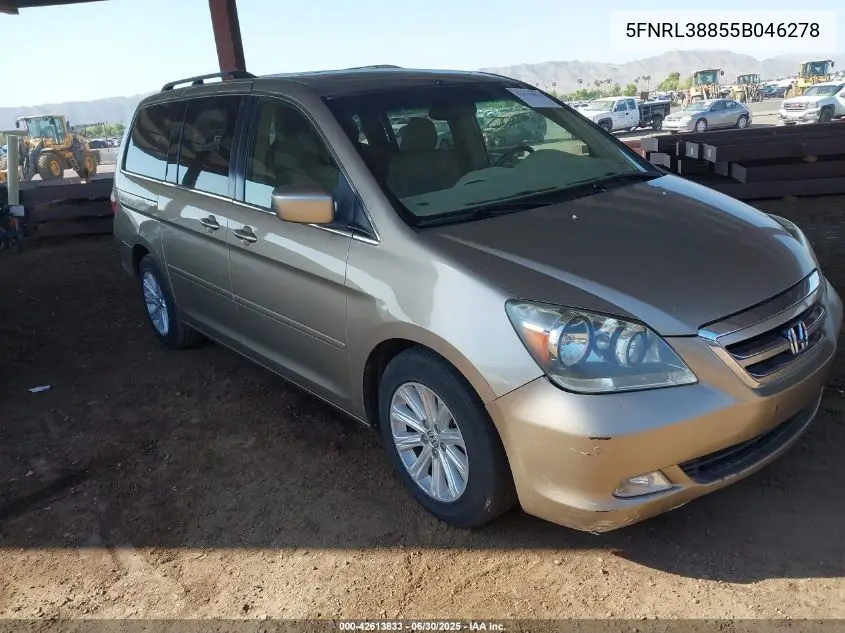 2005 Honda Odyssey Touring VIN: 5FNRL38855B046278 Lot: 42613833