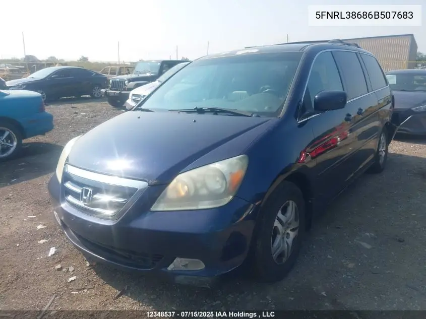 2006 Honda Odyssey Ex-L VIN: 5FNRL38686B507683 Lot: 12348537