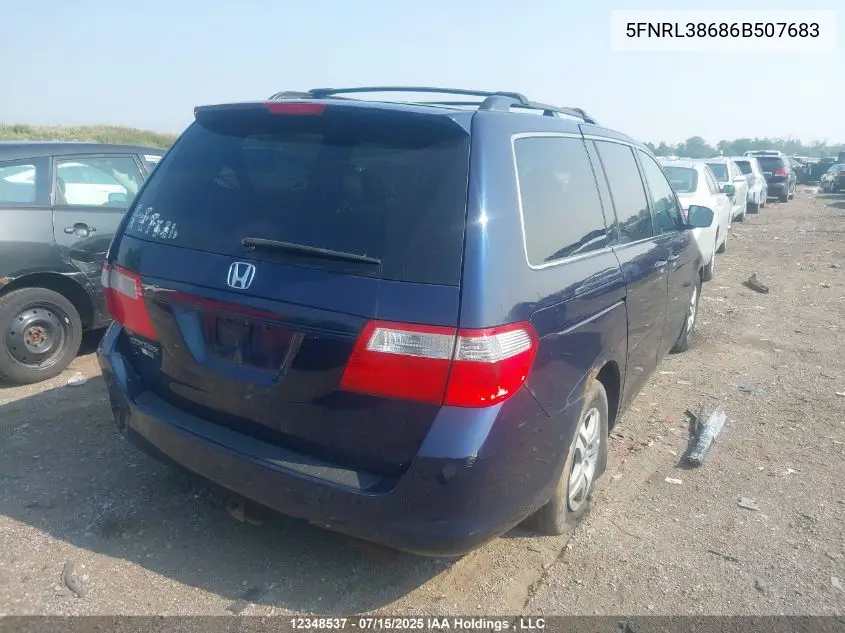 2006 Honda Odyssey Ex-L VIN: 5FNRL38686B507683 Lot: 12348537