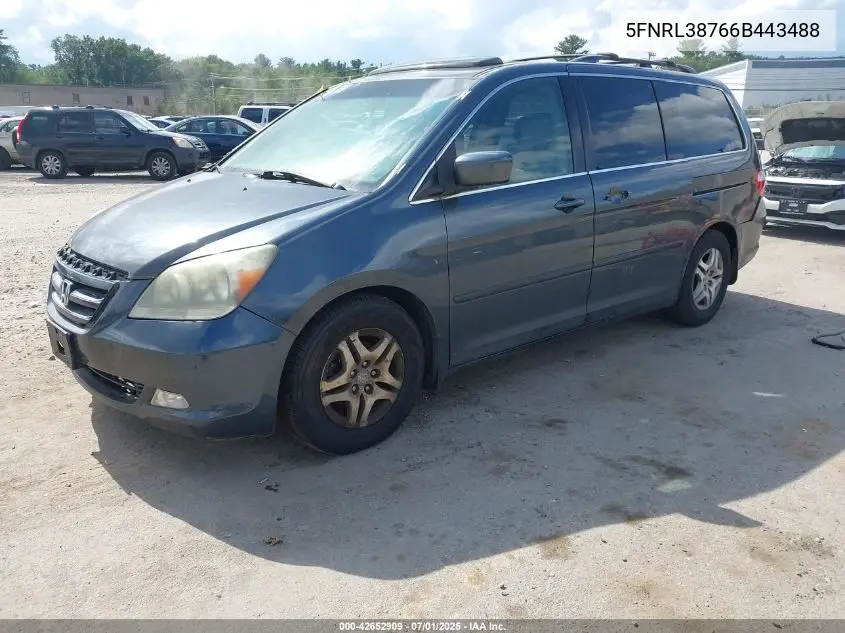2006 Honda Odyssey Ex-L VIN: 5FNRL38766B443488 Lot: 42652909