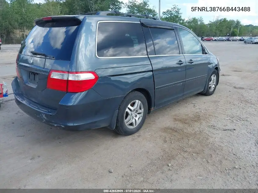 2006 Honda Odyssey Ex-L VIN: 5FNRL38766B443488 Lot: 42652909