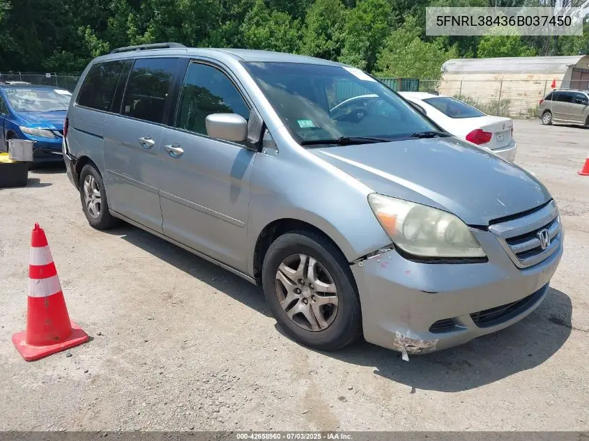 2006 Honda Odyssey Ex VIN: 5FNRL38436B037450 Lot: 42658960