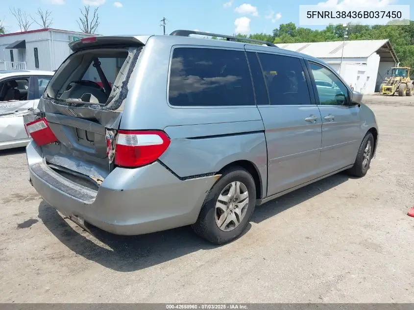 2006 Honda Odyssey Ex VIN: 5FNRL38436B037450 Lot: 42658960