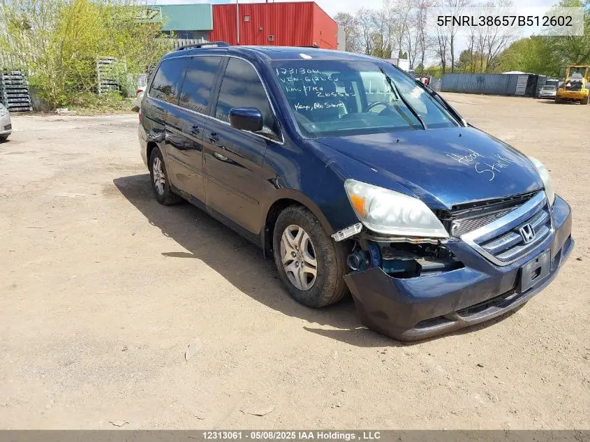 2007 Honda Odyssey Ex-L VIN: 5FNRL38657B512602 Lot: 12313061X