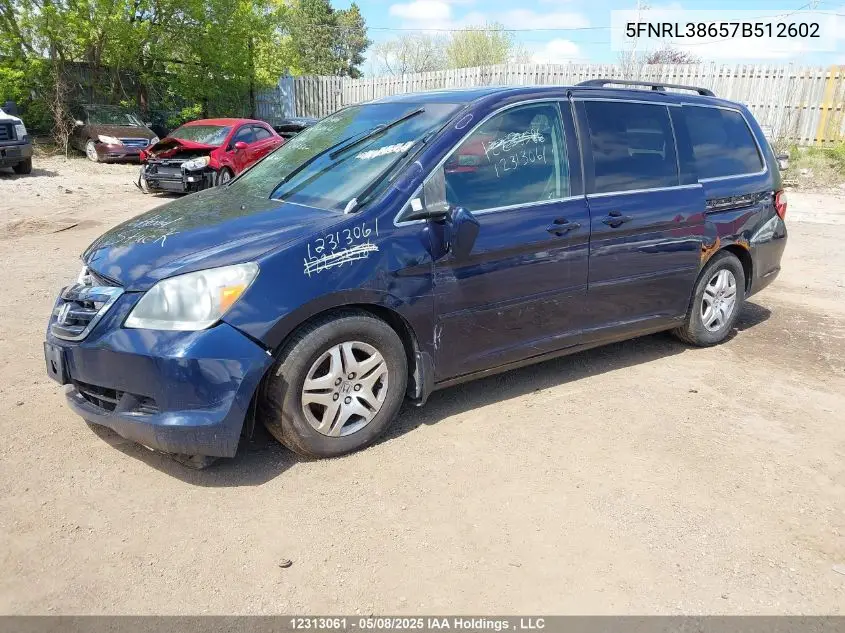 2007 Honda Odyssey Ex-L VIN: 5FNRL38657B512602 Lot: 12313061X