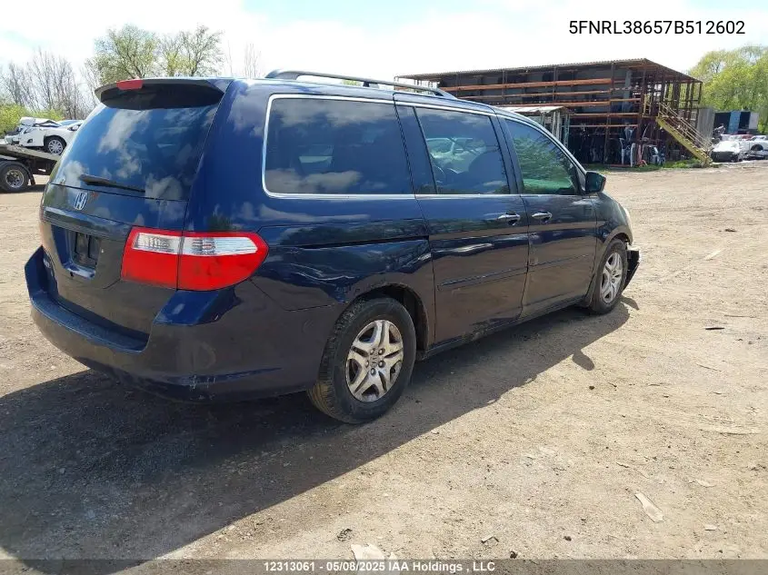 2007 Honda Odyssey Ex-L VIN: 5FNRL38657B512602 Lot: 12313061X