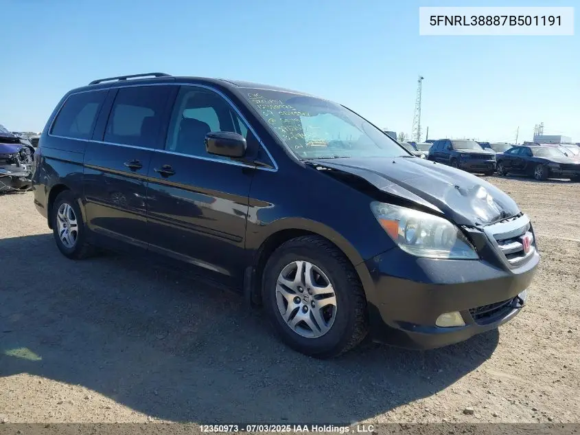 2007 Honda Odyssey Touring VIN: 5FNRL38887B501191 Lot: 12350973