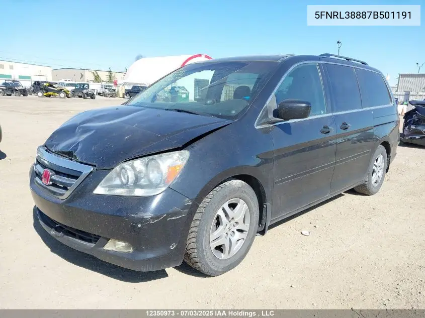 2007 Honda Odyssey Touring VIN: 5FNRL38887B501191 Lot: 12350973