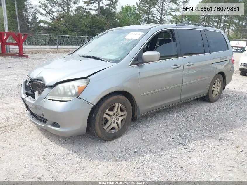 2007 Honda Odyssey Ex-L VIN: 5FNRL38617B079831 Lot: 41914159