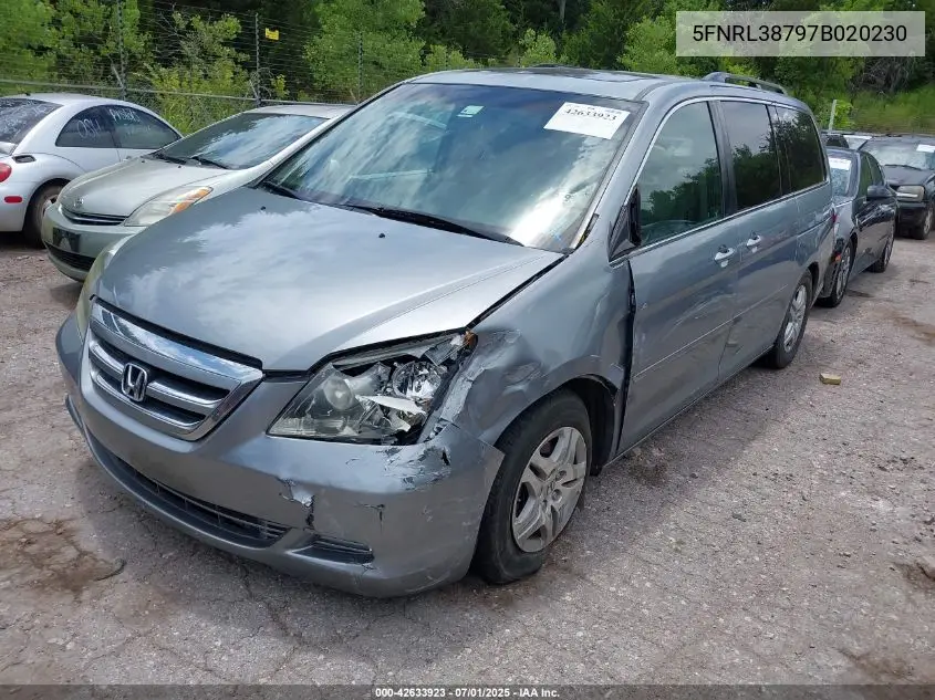 2007 Honda Odyssey Exl VIN: 5FNRL38797B020230 Lot: 42633923