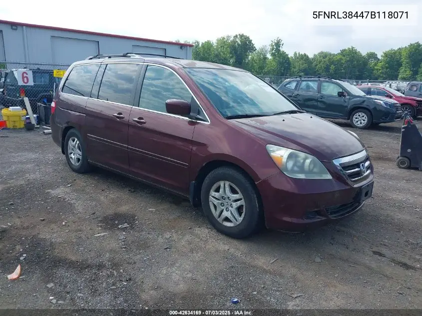 2007 Honda Odyssey Ex VIN: 5FNRL38447B118071 Lot: 42634169