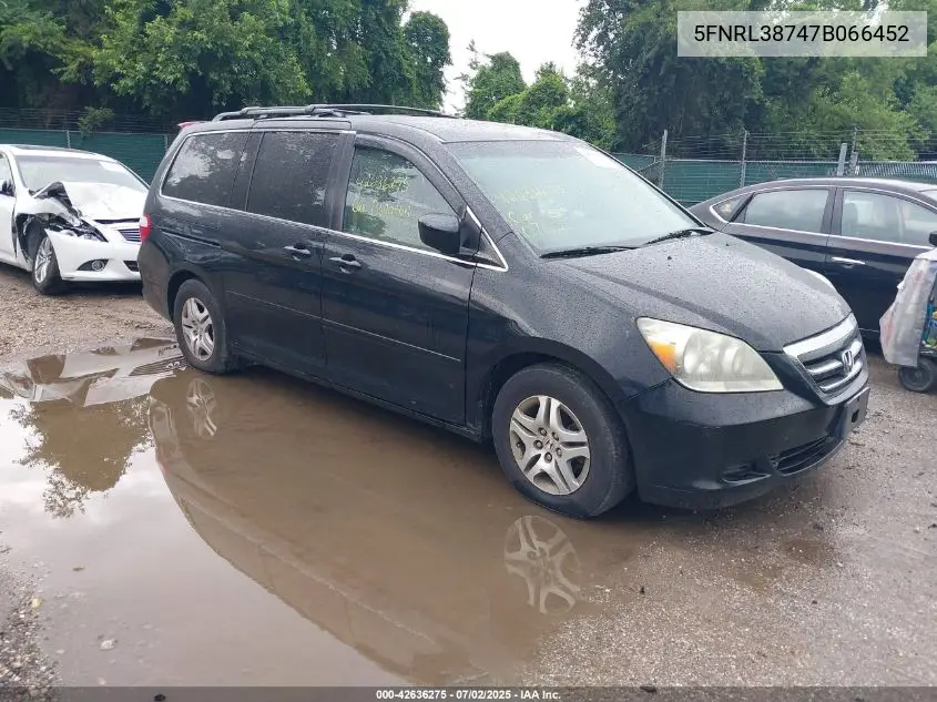 2007 Honda Odyssey Ex-L VIN: 5FNRL38747B066452 Lot: 42636275