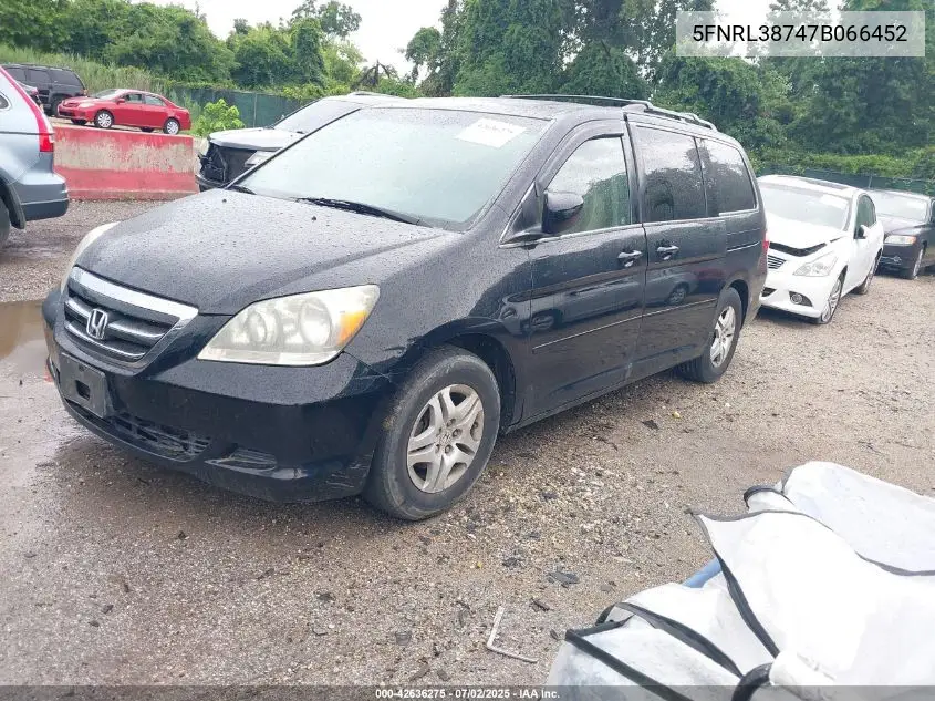 2007 Honda Odyssey Ex-L VIN: 5FNRL38747B066452 Lot: 42636275