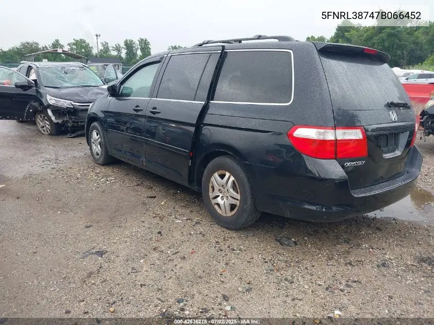 2007 Honda Odyssey Ex-L VIN: 5FNRL38747B066452 Lot: 42636275
