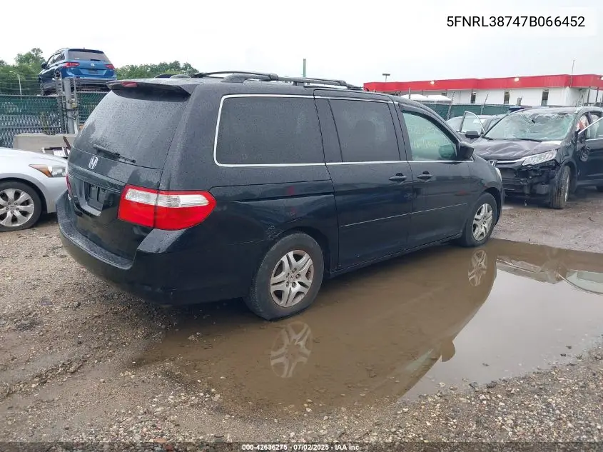 2007 Honda Odyssey Ex-L VIN: 5FNRL38747B066452 Lot: 42636275