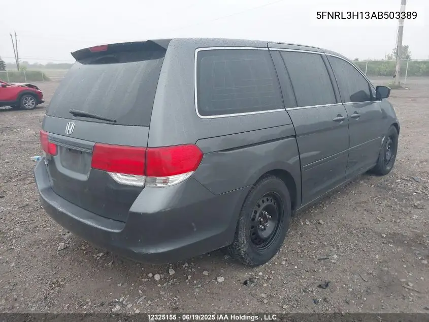 2010 Honda Odyssey Dx VIN: 5FNRL3H13AB503389 Lot: 12325155