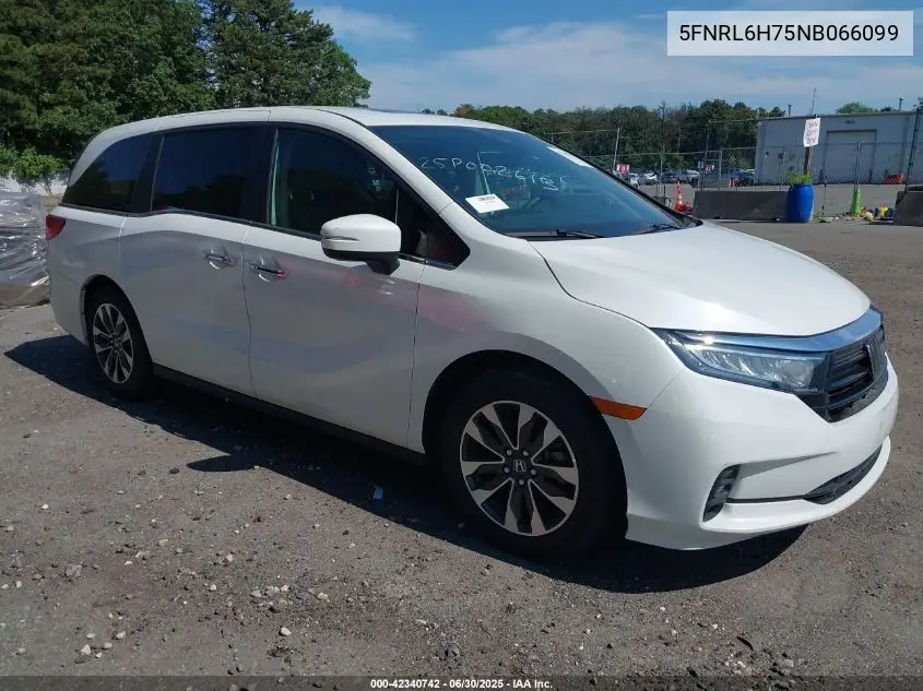2022 Honda Odyssey Ex-L VIN: 5FNRL6H75NB066099 Lot: 42340742
