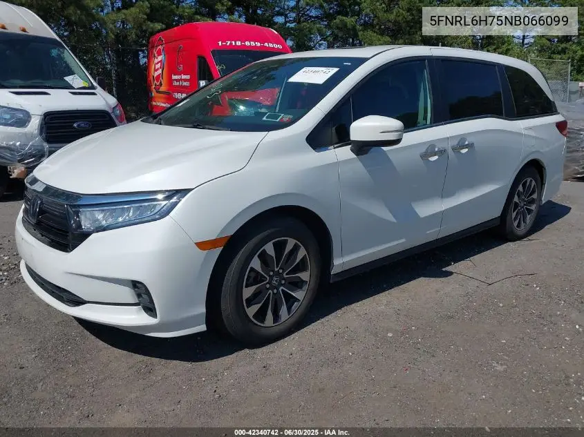 2022 Honda Odyssey Ex-L VIN: 5FNRL6H75NB066099 Lot: 42340742