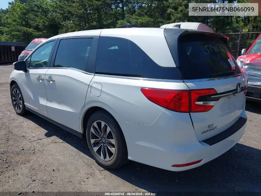 2022 Honda Odyssey Ex-L VIN: 5FNRL6H75NB066099 Lot: 42340742