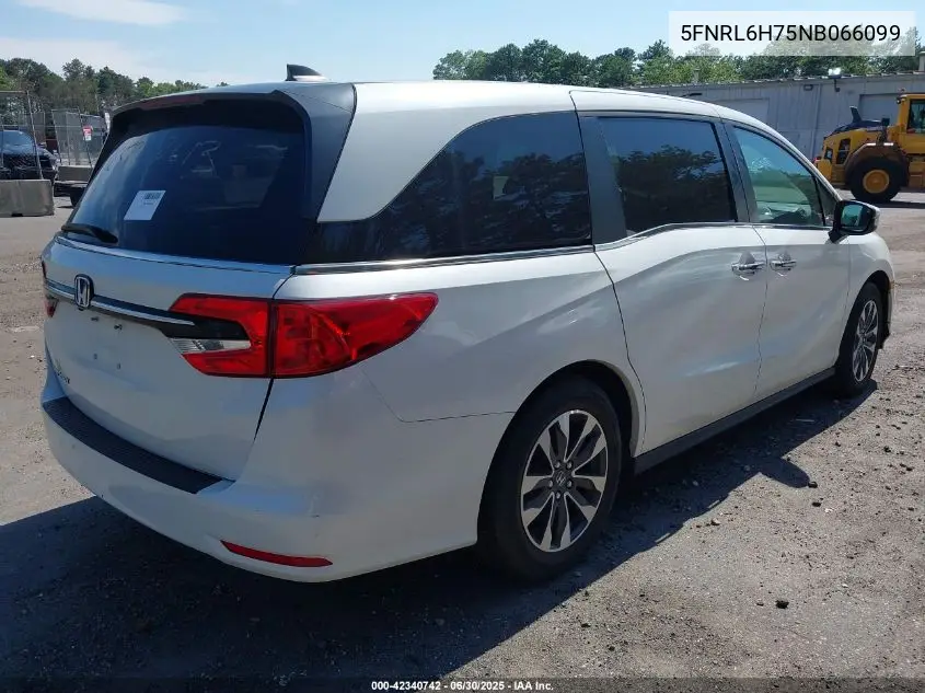 2022 Honda Odyssey Ex-L VIN: 5FNRL6H75NB066099 Lot: 42340742