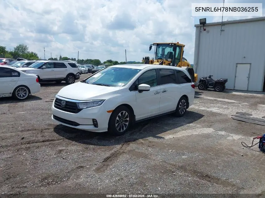 2022 Honda Odyssey Ex-L VIN: 5FNRL6H78NB036255 Lot: 42658892
