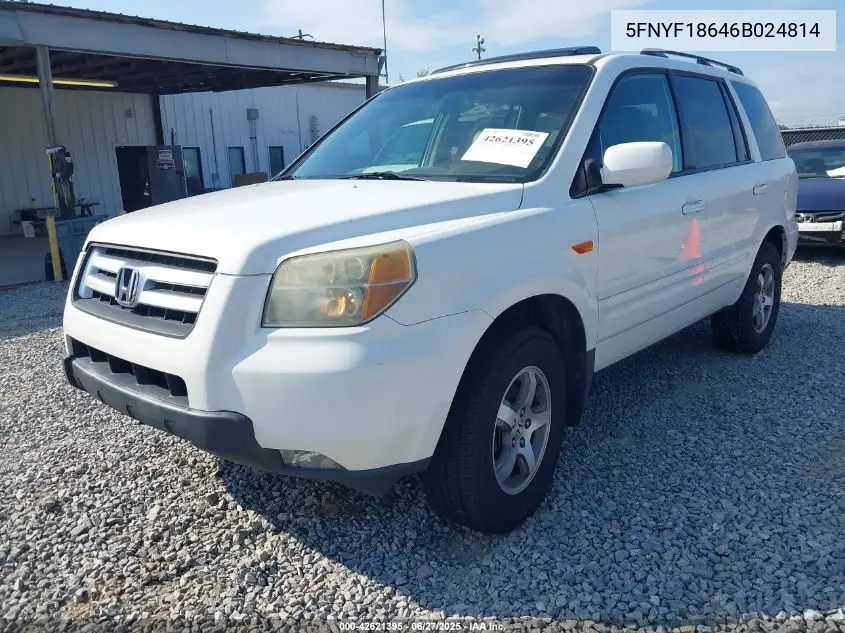 2006 Honda Pilot Ex-L VIN: 5FNYF18646B024814 Lot: 42621395