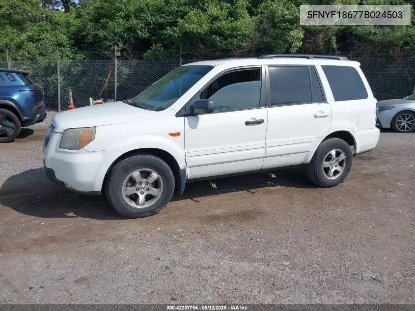 2007 Honda Pilot Ex-L VIN: 5FNYF18677B024503 Lot: 42257754