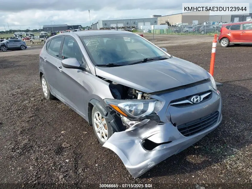 2013 Hyundai Accent Gls/Gs VIN: KMHCT5AE3DU123944 Lot: 30066665