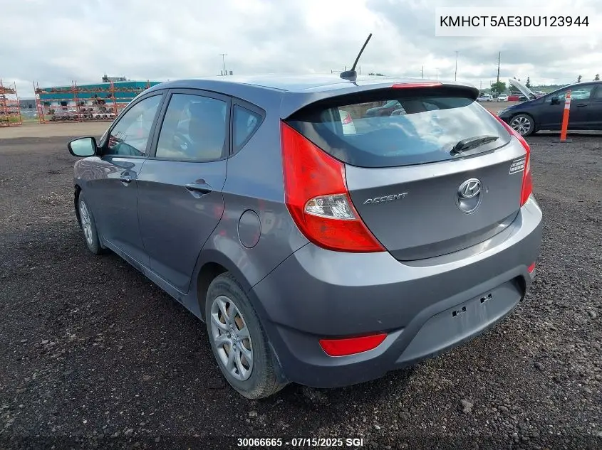 2013 Hyundai Accent Gls/Gs VIN: KMHCT5AE3DU123944 Lot: 30066665