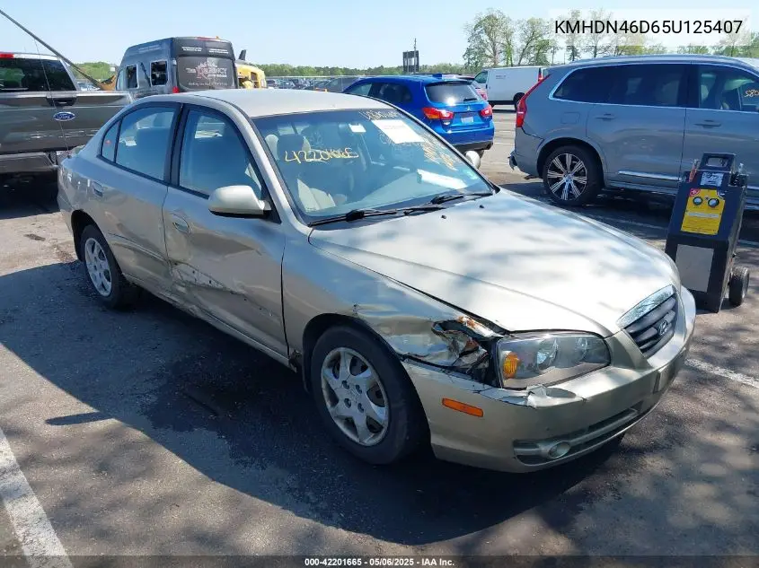 2005 Hyundai Elantra Gls/Gt VIN: KMHDN46D65U125407 Lot: 42201665