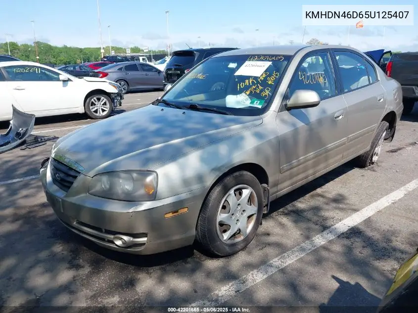 2005 Hyundai Elantra Gls/Gt VIN: KMHDN46D65U125407 Lot: 42201665