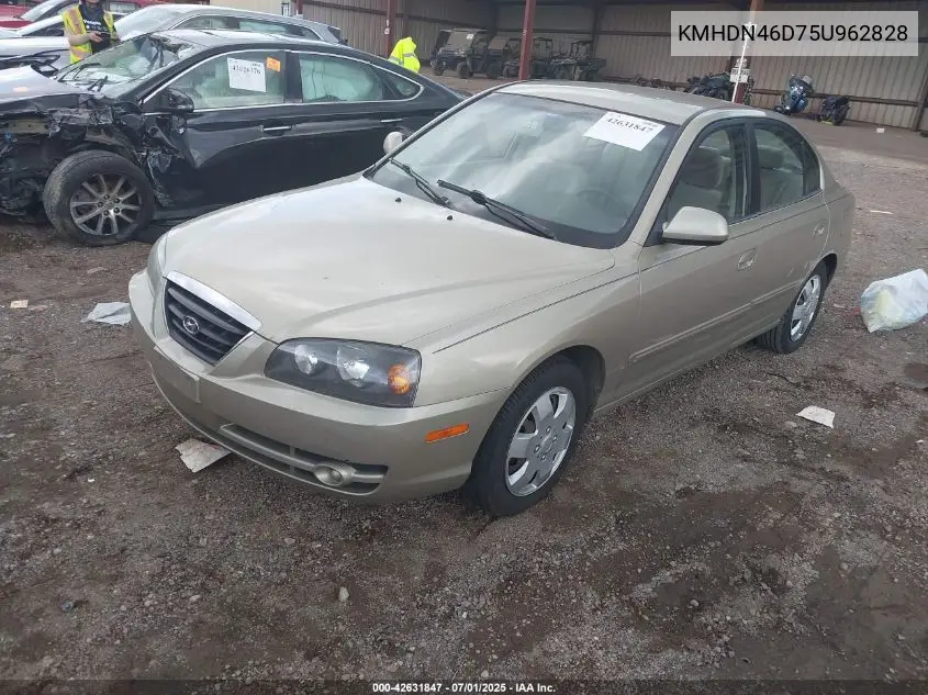 2005 Hyundai Elantra Gls/Gt VIN: KMHDN46D75U962828 Lot: 42631847
