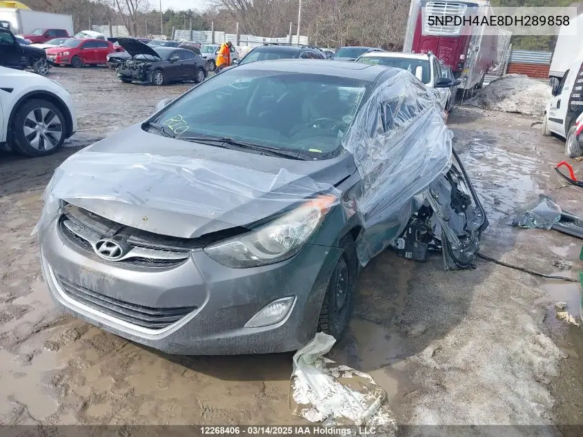 2013 Hyundai Elantra Gls/Limited VIN: 5NPDH4AE8DH289858 Lot: 12268406