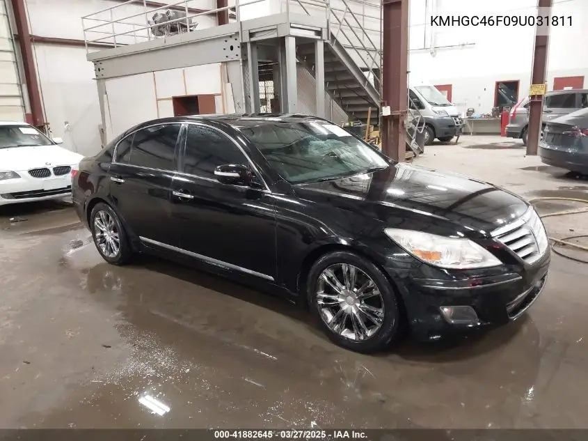 2009 Hyundai Genesis 4.6 VIN: KMHGC46F09U031811 Lot: 41882645
