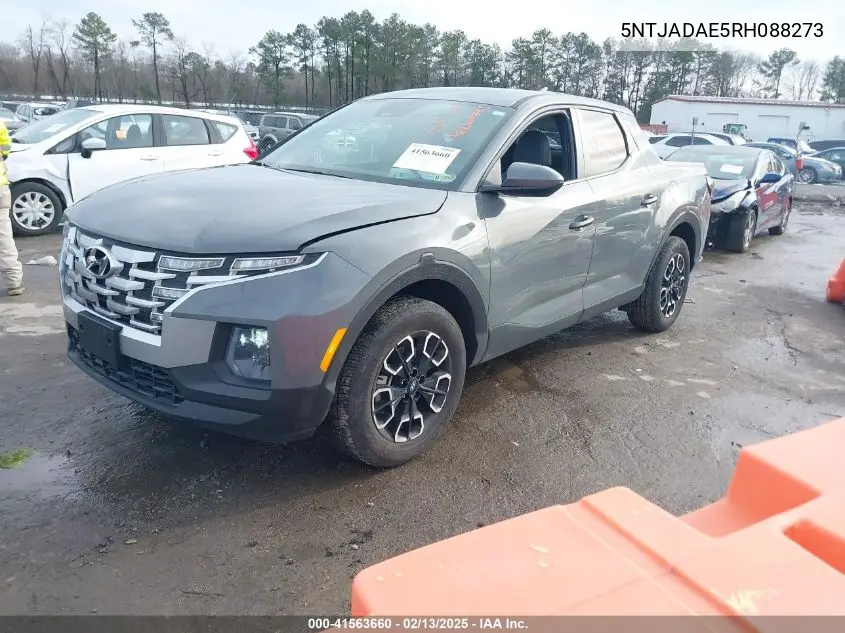2024 Hyundai Santa Cruz Se VIN: 5NTJADAE5RH088273 Lot: 41563660
