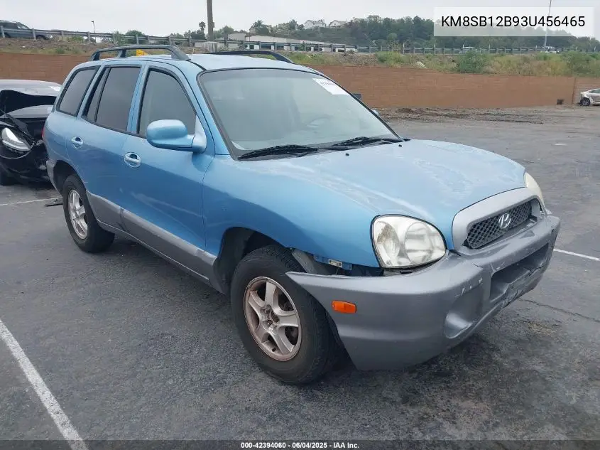 2003 Hyundai Santa Fe VIN: KM8SB12B93U456465 Lot: 42394060