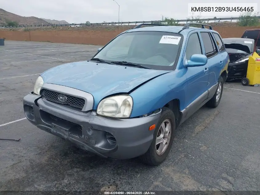 2003 Hyundai Santa Fe VIN: KM8SB12B93U456465 Lot: 42394060