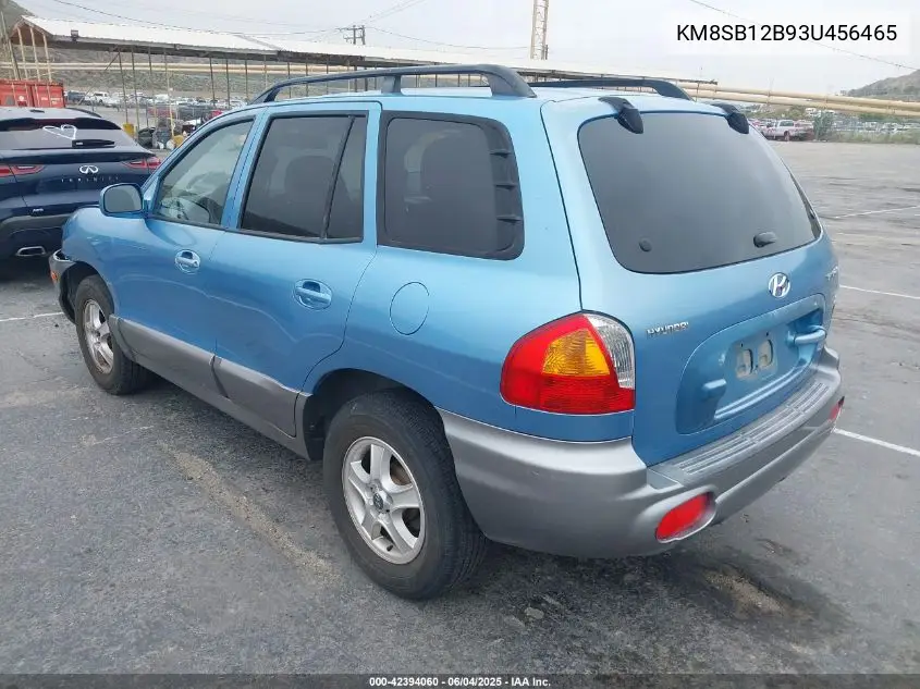 2003 Hyundai Santa Fe VIN: KM8SB12B93U456465 Lot: 42394060
