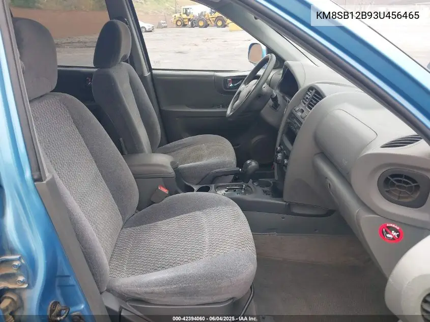 2003 Hyundai Santa Fe VIN: KM8SB12B93U456465 Lot: 42394060