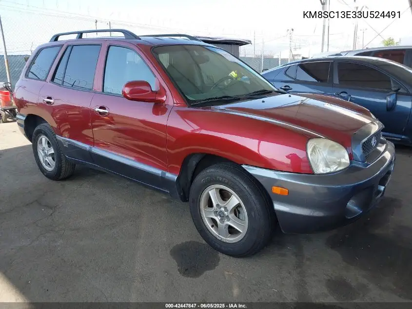 2003 Hyundai Santa Fe Gls/Lx VIN: KM8SC13E33U524491 Lot: 42447847