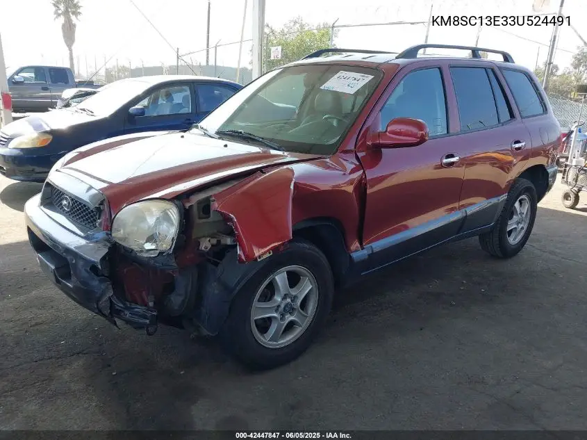 2003 Hyundai Santa Fe Gls/Lx VIN: KM8SC13E33U524491 Lot: 42447847