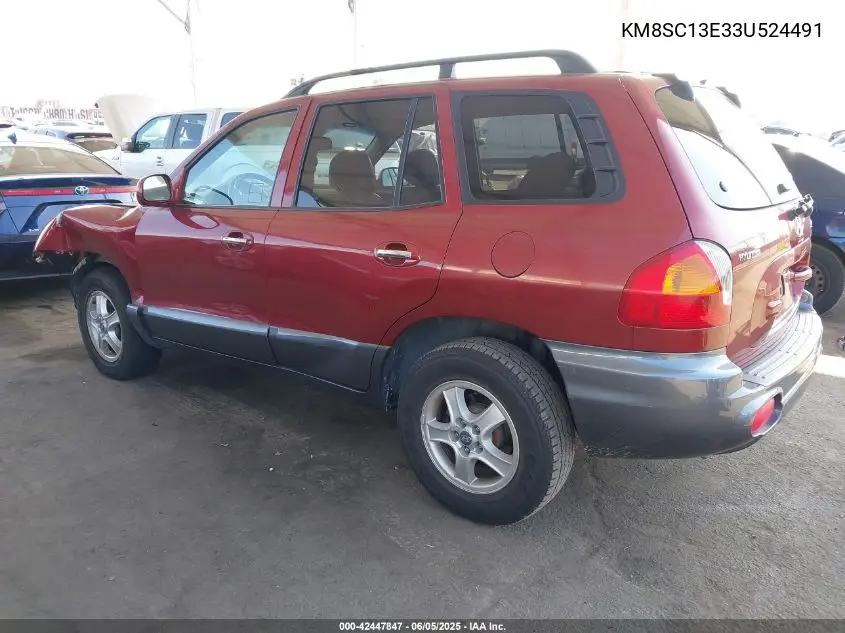 2003 Hyundai Santa Fe Gls/Lx VIN: KM8SC13E33U524491 Lot: 42447847